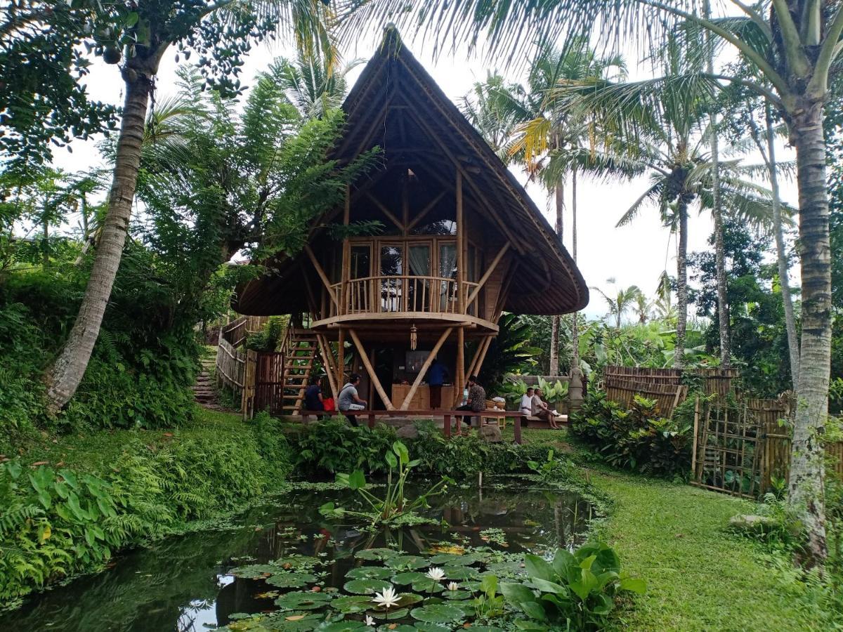 Jero Tumbuk Private Villa Selat Екстер'єр фото