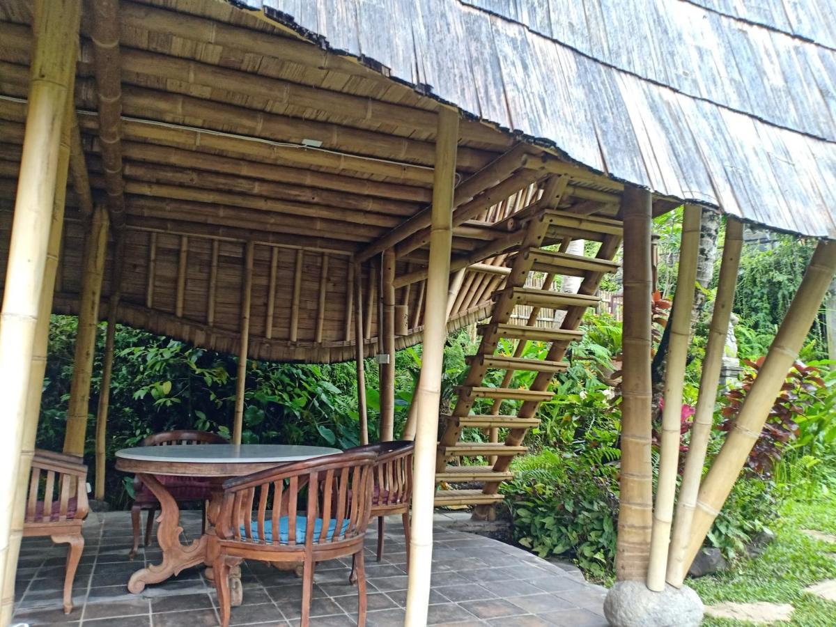 Jero Tumbuk Private Villa Selat Екстер'єр фото