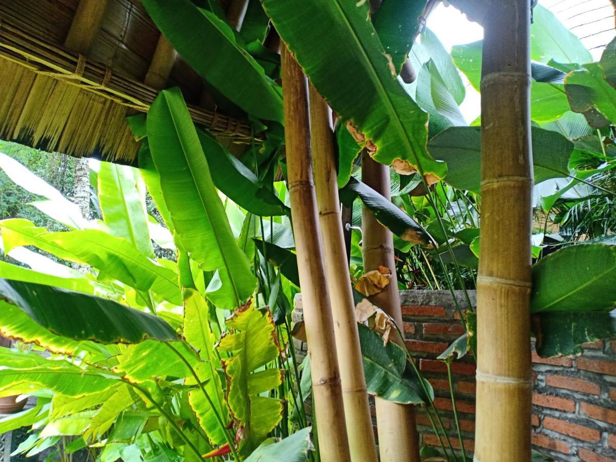 Jero Tumbuk Private Villa Selat Екстер'єр фото