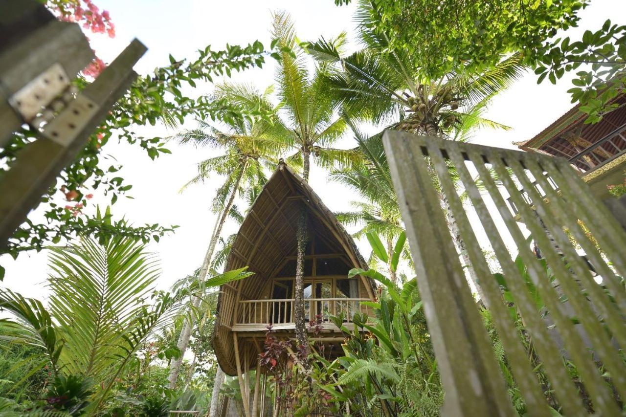 Jero Tumbuk Private Villa Selat Екстер'єр фото