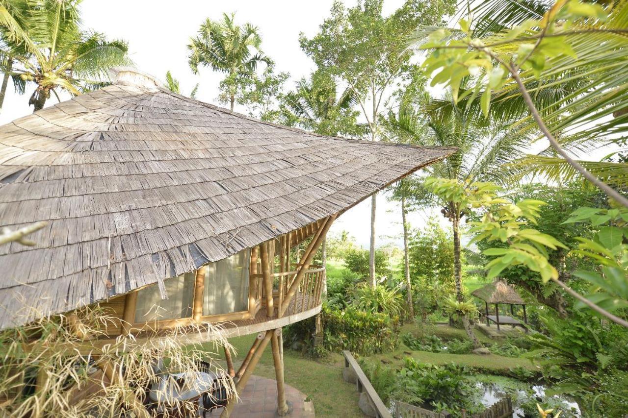 Jero Tumbuk Private Villa Selat Екстер'єр фото