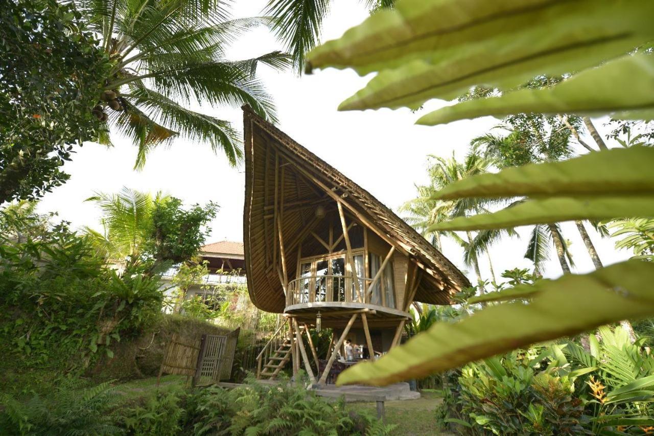 Jero Tumbuk Private Villa Selat Екстер'єр фото