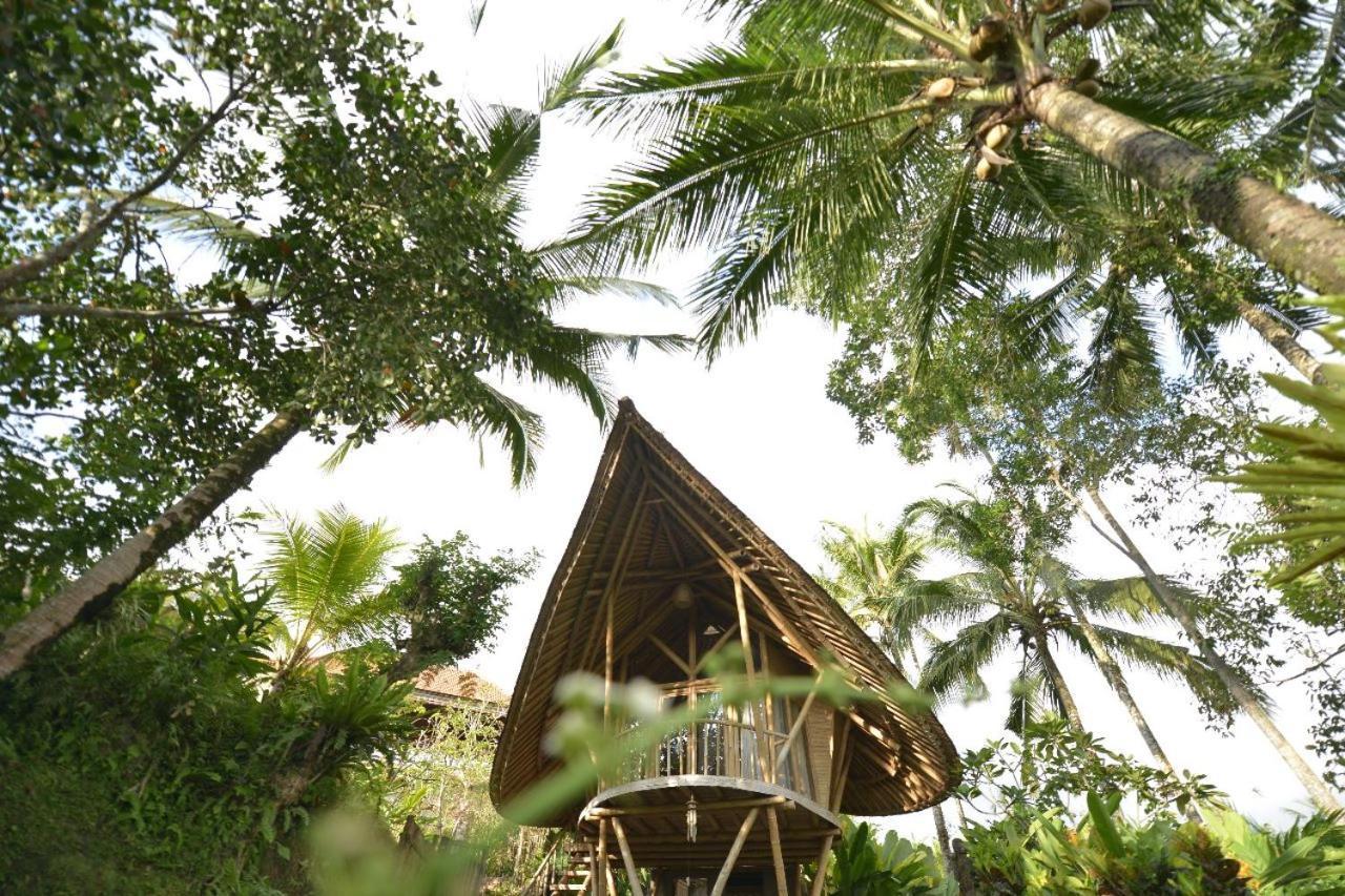 Jero Tumbuk Private Villa Selat Екстер'єр фото